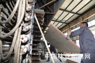 告别斧锯，森工转型 餐饮服务开辟绿色新红利