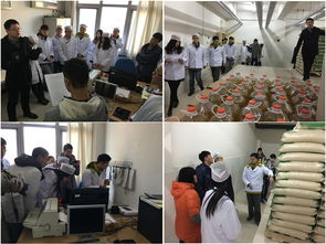 北理工后勤集团餐饮服务中心圆满完成第五届食堂开放日暨年度伙委会活动